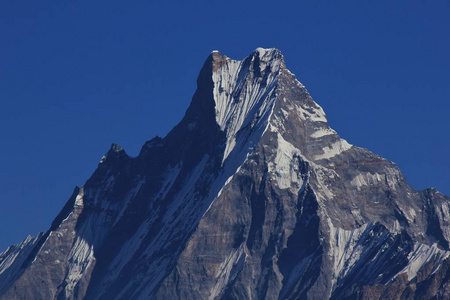 著名鱼峰尾山 Machapuchare