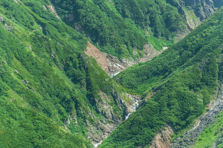 在夏山的全景视图