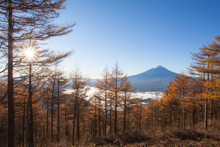 山富士风景