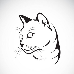 猫设计背景向量图片-猫设计背景向量素材-猫设计背景向量插画-摄图新