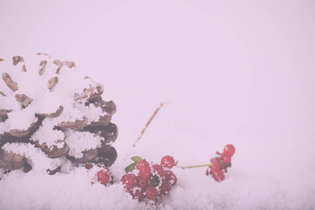 在白雪老式复古过滤器松锥和红色浆果