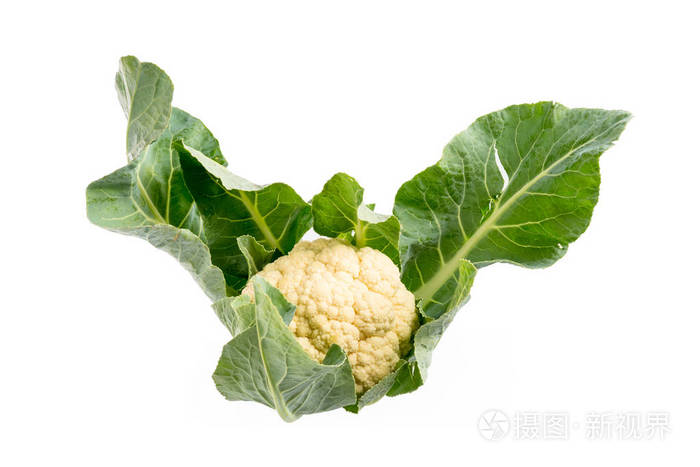 白花椰菜照片 正版商用图片0whwyn 摄图新视界