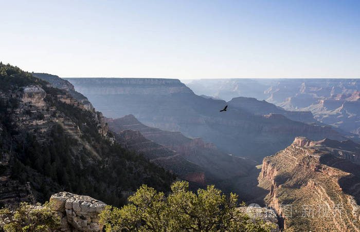 以图搜图id:0whxd5授权范围商业用途,可用于营利性
