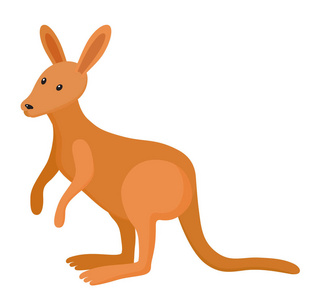 袋鼠的爱图片-袋鼠的爱素材-袋鼠的爱插画-摄图新视界