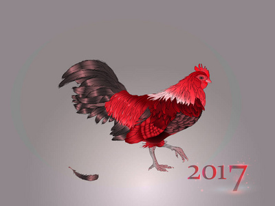 中国日历。那只公鸡一年。2017