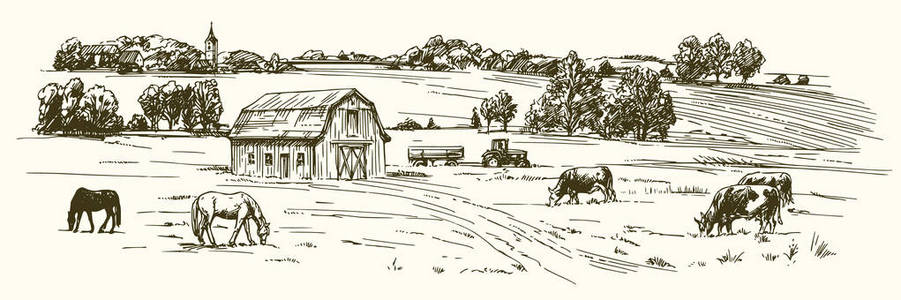 牛和马在草原上放牧.手绘插图照片