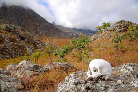 人类的头颅骨在 Chimanimani 山