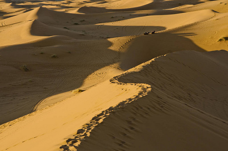 上一个沙丘在撒哈拉沙漠以南摩洛哥休息的两个骆驼