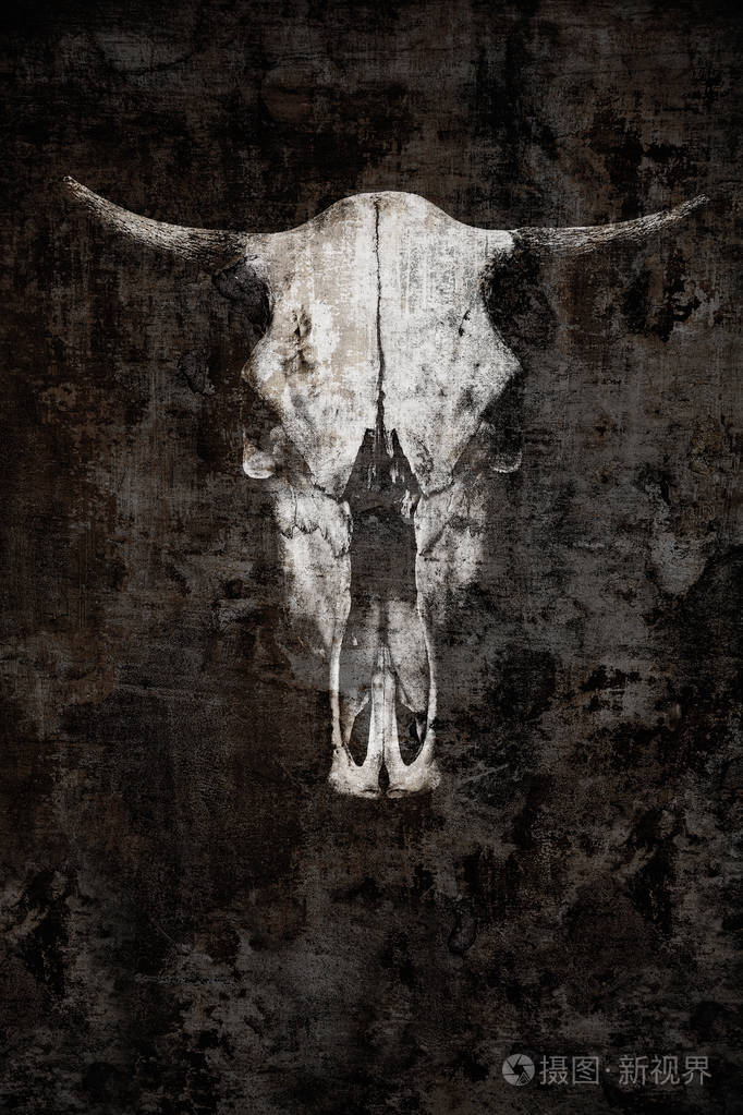 幽灵般的黑色背景上的牛头骨
