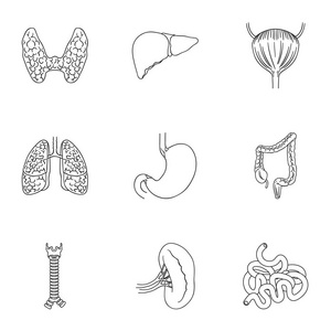 人体器官在大纲样式中设置图标。人体器官的大集合矢量符号股票图