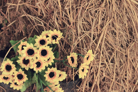 向日葵油与花