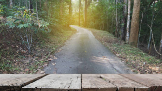 春季森林道路模糊图像的选择