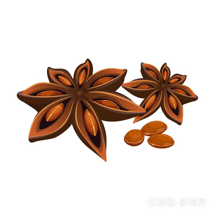 星星形状的水果,八角茴香插画-正版商用图片0wixhf-摄图新视界