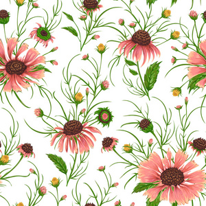 洋甘菊花的无缝模式。质朴的花卉背景。在水彩风格复古矢量植物插图