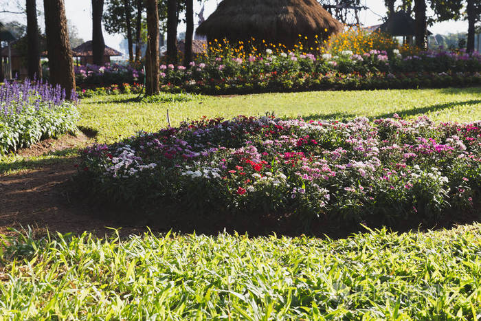 花园中的草坪和花坛, 春花公园
