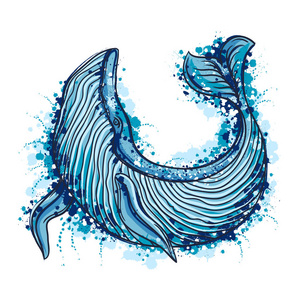 手绘大尾巴鱼鲸鱼.在水彩风格复古手绘矢量图.