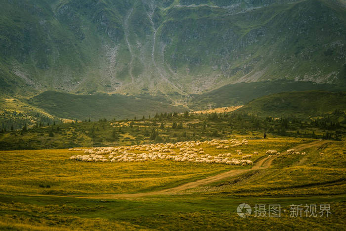 在罗马尼亚喀尔巴阡山的美丽的山景观