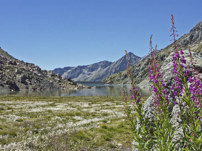 在田园 Lago Gabiet