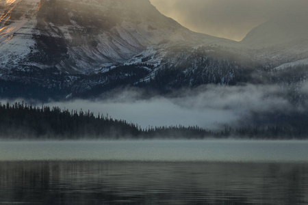 近摄镜头的有雾的早晨在湖边