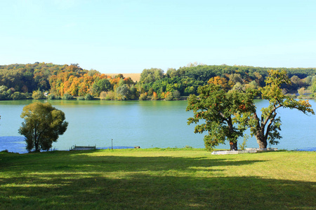 美丽的秋天的风景与湖和树图片