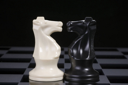 国际象棋骑士面对面