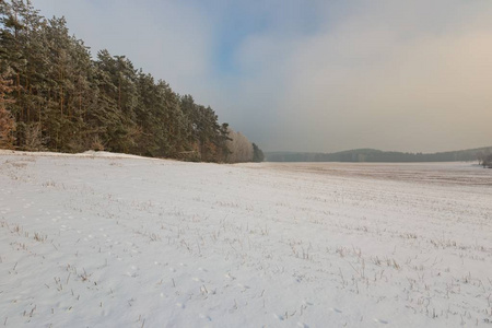 冬天白雪覆盖的田地和大雾天