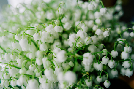 莉莉的-谷.铃兰.春天的背景.花卉的背景.选择性的焦点照片