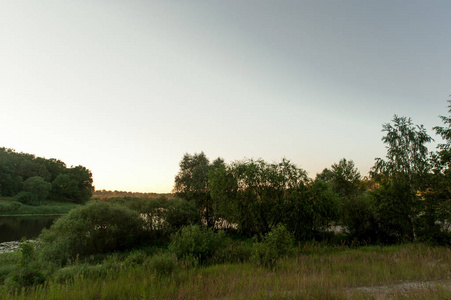 在初夏的傍晚在白俄罗斯美丽的风景