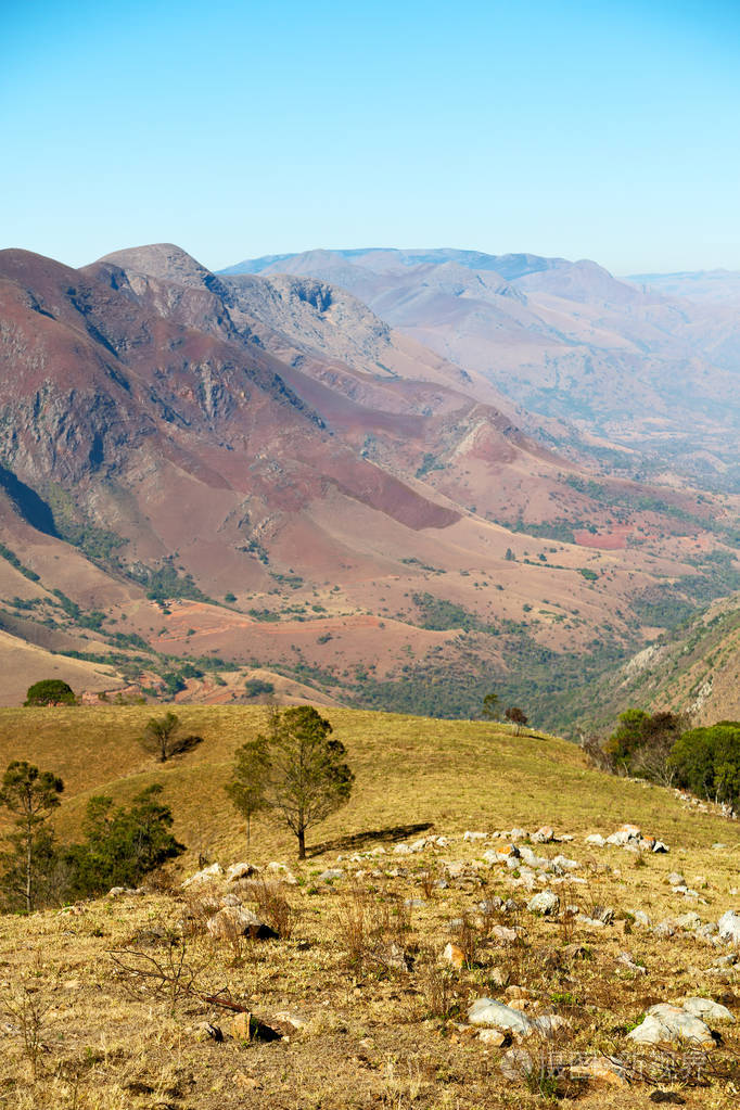 在斯威士兰野生动物自然保护区