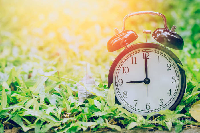 9点复古钟在花园草地上阳光明媚