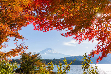 富士山和秋天的树叶