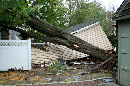 车库里获取超级风暴桑迪期间被树