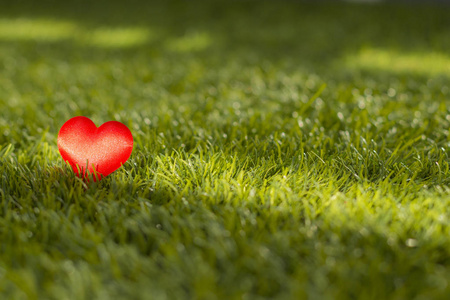 绿色草地上的心照片
