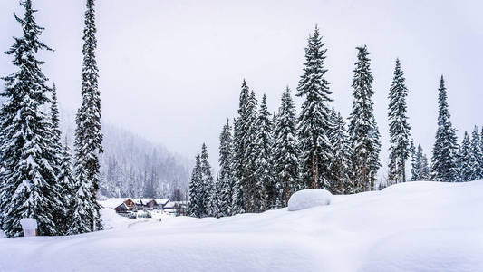 山坡上的太阳峰滑雪度假村在加拿大不列颠哥伦比亚省的冬季景观