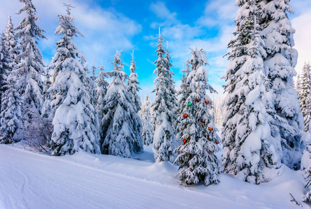山坡上的太阳峰滑雪度假村在加拿大不列颠哥伦比亚省的冬季景观