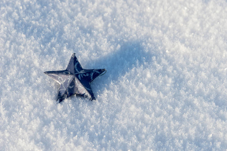 雪中的蓝星图片