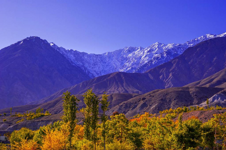 与高山景观和山脉。天然山背景