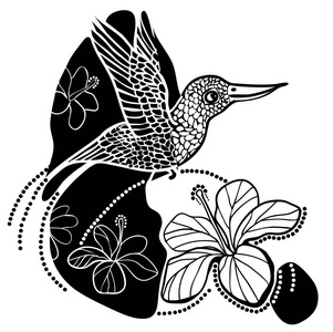矢量图的蜂鸟和花的黑色和白色