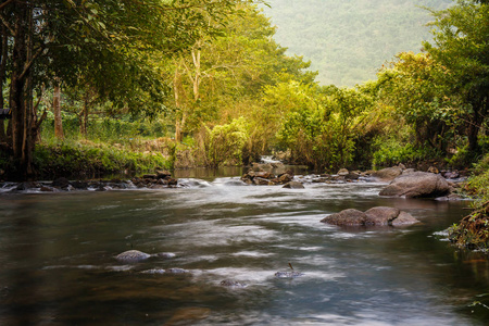 山区河流绿色森林