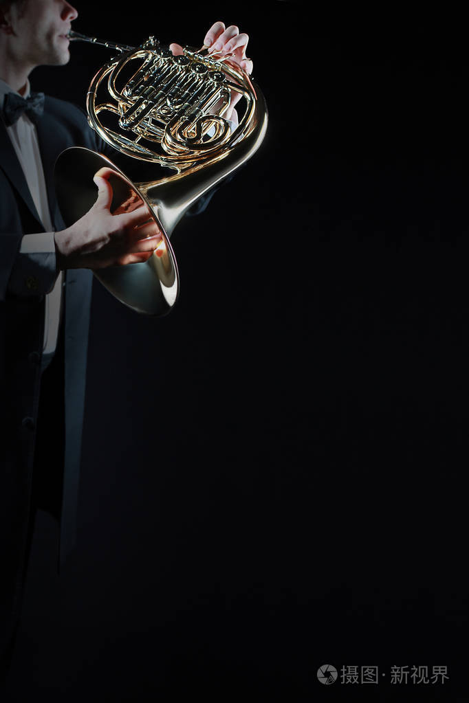 圆号音乐乐器手