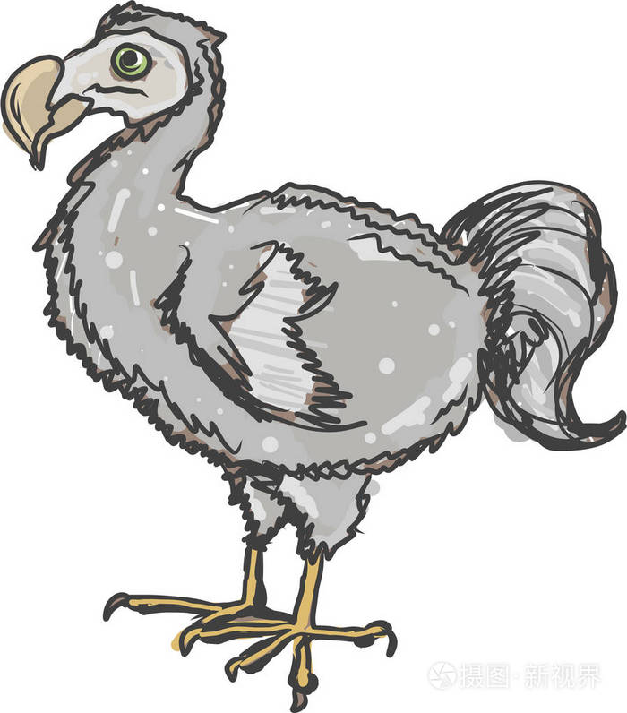 渡渡鸟鸟矢量插图剪贴画图像插画-正版商用图片0wkzph-摄图新视界