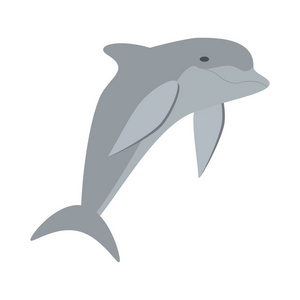 可爱的海豚海洋鱼友图片