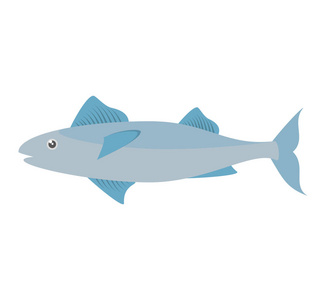 马鲛鱼鱼海生活设计图标图片