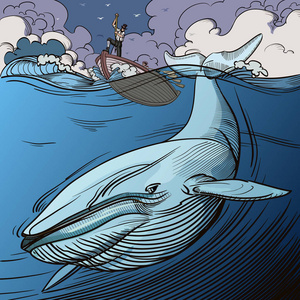 蓝鲸和捕鲸船照片