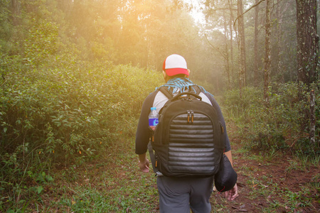 行走的背包客和营森林探险野营友谊