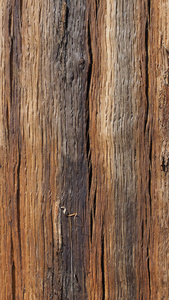 棕色的木材纹理背景垂直