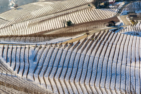 根据葡萄园山雪 Langhe 地区在意大利