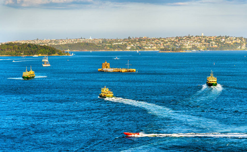 在悉尼港的澳大利亚的船