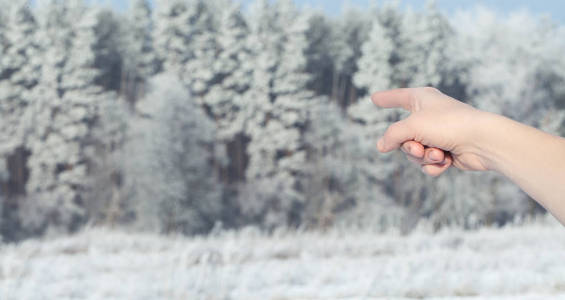人类的手与手指下雪的冬天森林点