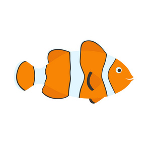 快乐的小丑鱼图片